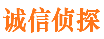 平邑市调查公司